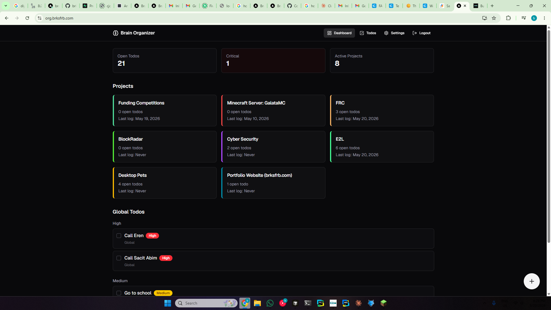 Brain Organizer screenshot 1
